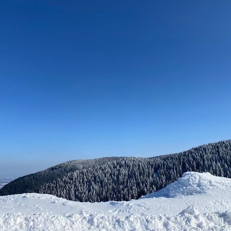 Dream View Apartment Kopaonik Exterior foto