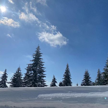 Dream View Apartment Kopaonik Exterior foto
