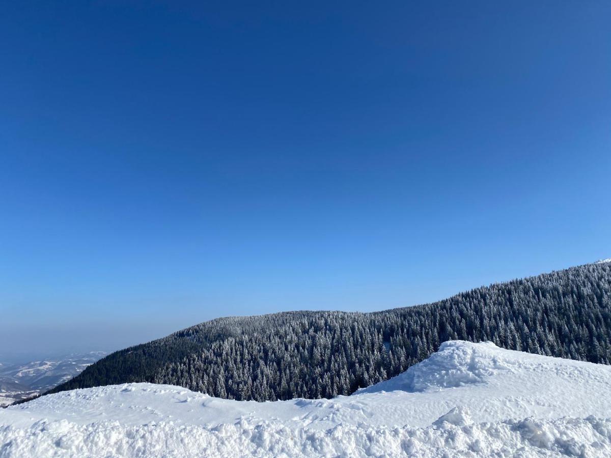 Dream View Apartment Kopaonik Exterior foto