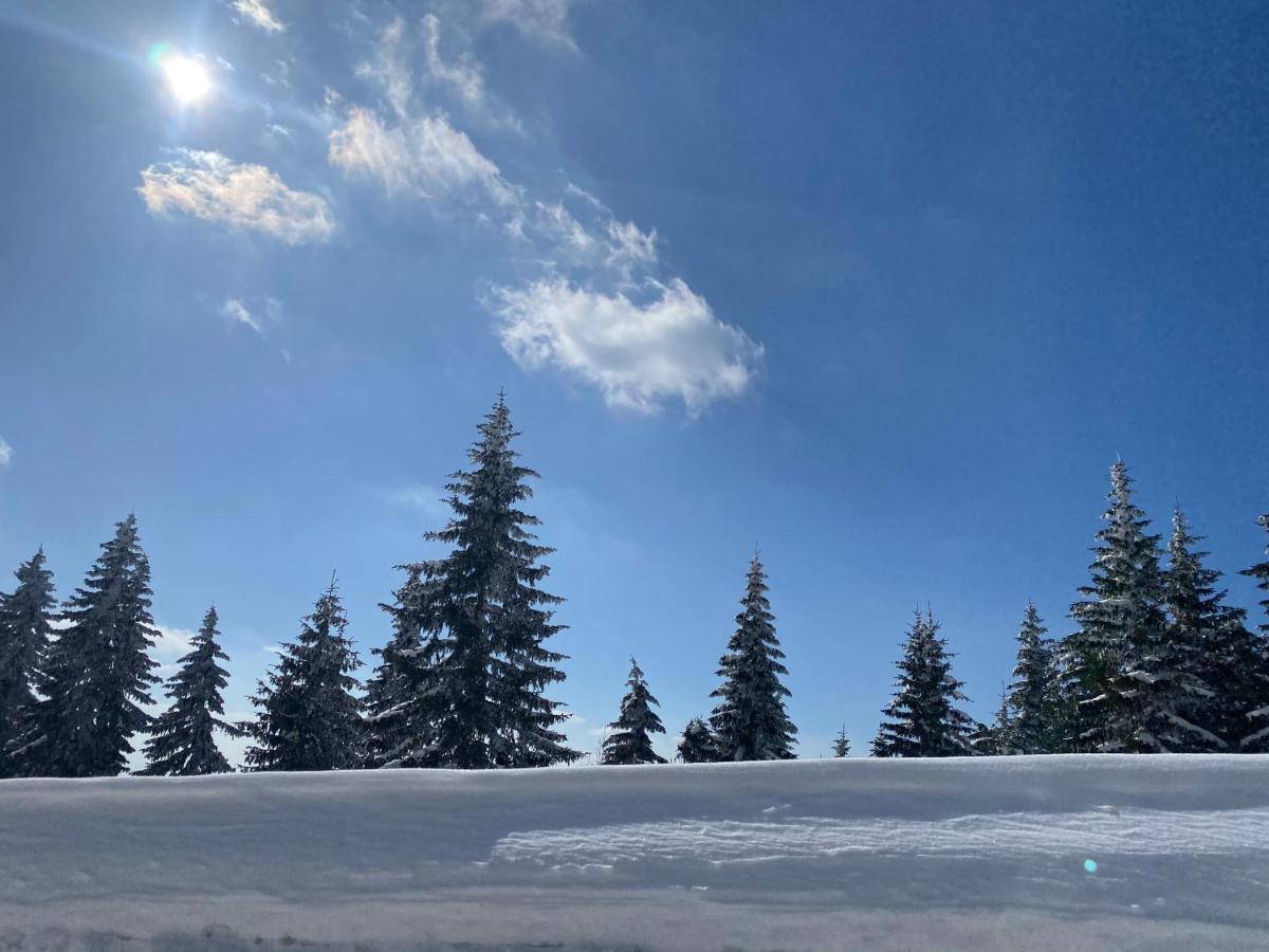 Dream View Apartment Kopaonik Exterior foto